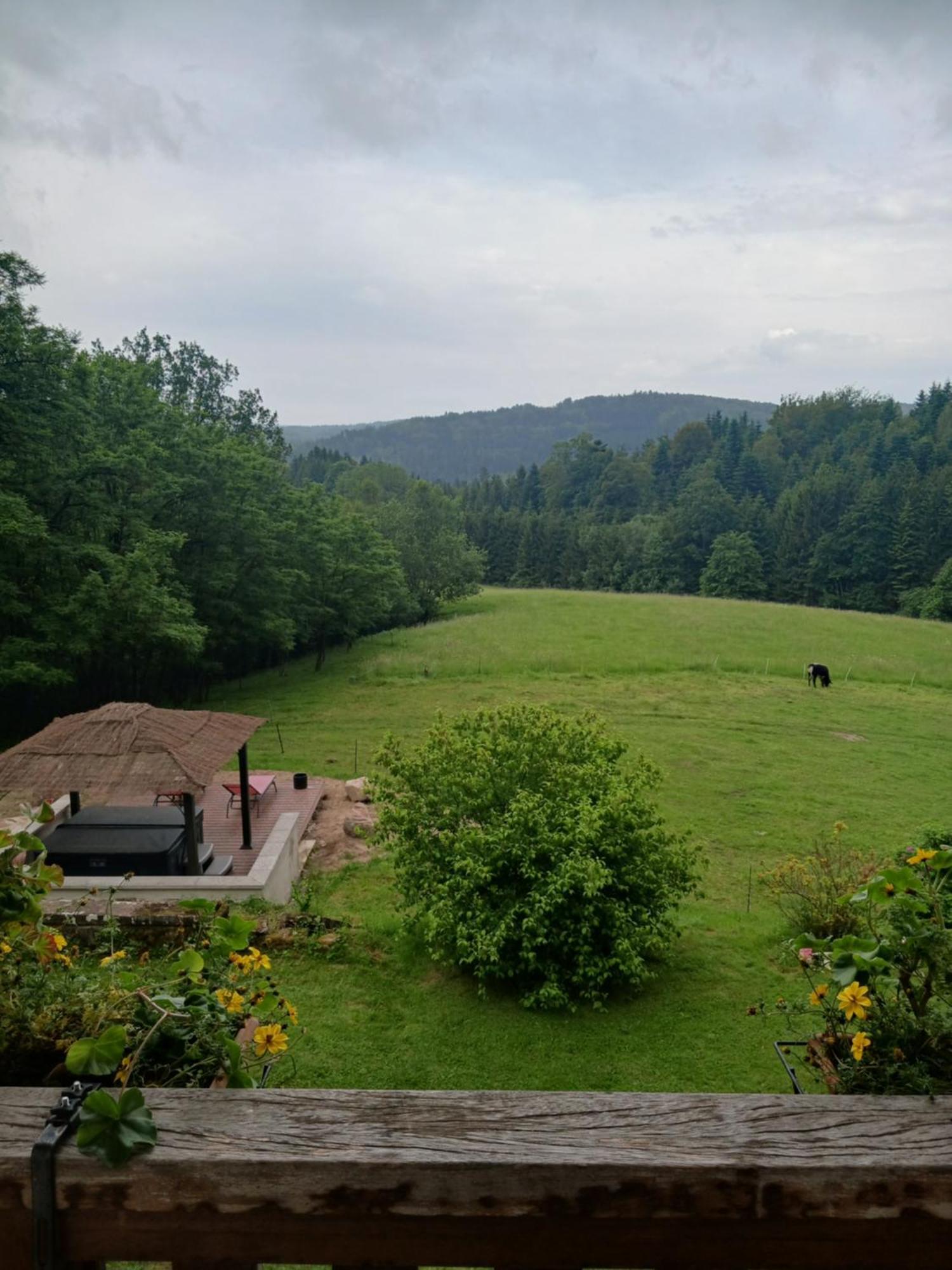 Les Accacias Bed and Breakfast Moyenmoutier Εξωτερικό φωτογραφία