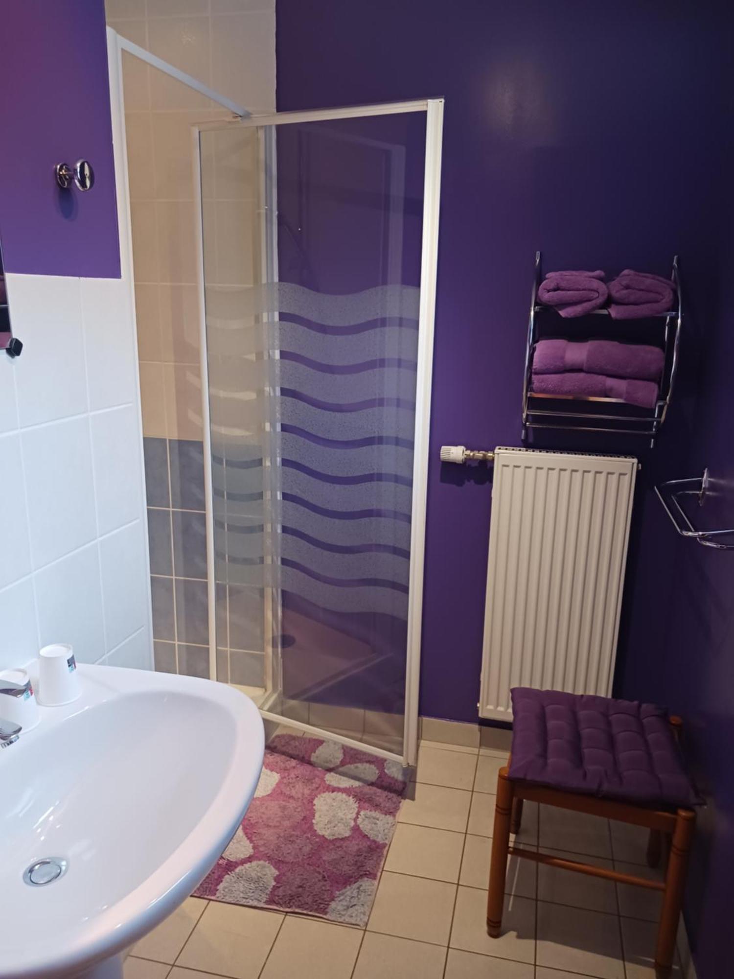 Les Accacias Bed and Breakfast Moyenmoutier Εξωτερικό φωτογραφία
